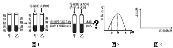 图片_x0020_1148370073