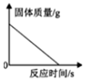 图片_x0020_100012