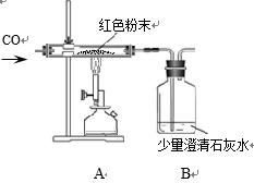 图片_x0020_100014