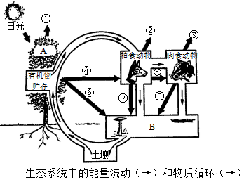 图片_x0020_100013