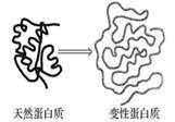 图片_x0020_1476139158