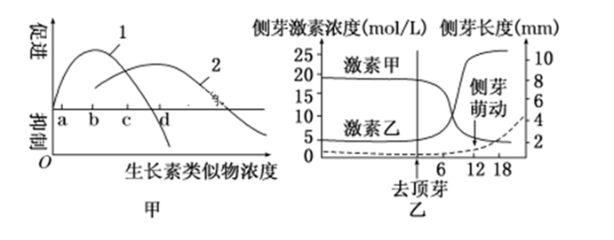 图片_x0020_100018