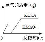 图片_x0020_100006