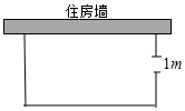 图片_x0020_1229244189