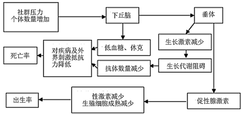 图片_x0020_5308216