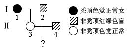 图片_x0020_456569042
