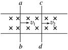 图片_x0020_1107555130