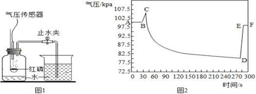 图片_x0020_100022