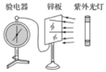 图片_x0020_100016