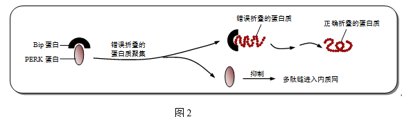 图片_x0020_100018