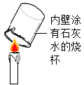 图片_x0020_100008