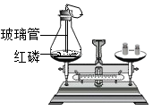 图片_x0020_1346229434