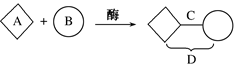 图片_x0020_100003