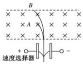 图片_x0020_430613736