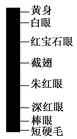 图片_x0020_85806118