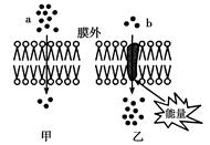 图片_x0020_479574956