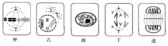图片_x0020_100012