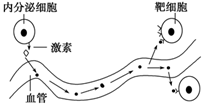 图片_x0020_100015