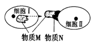图片_x0020_1195120354