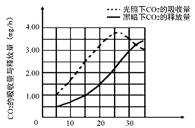 图片_x0020_100019