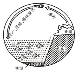 图片_x0020_1646180475
