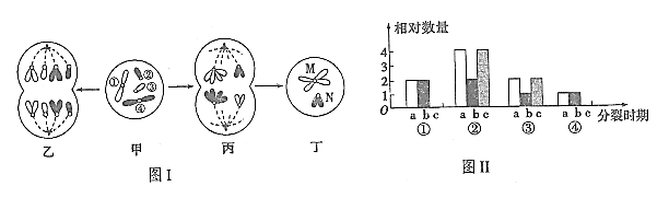 图片_x0020_1851611278