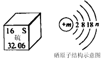 图片_x0020_2104568169