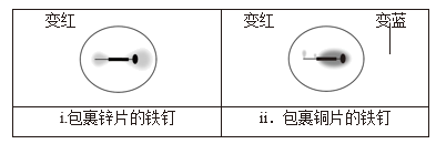 图片_x0020_100022