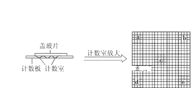 图片_x0020_682266268