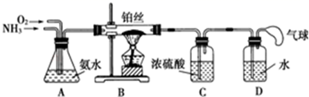 图片_x0020_100050