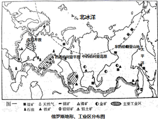 图片_x0020_100012