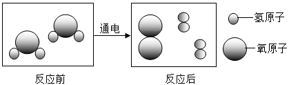 图片_x0020_1829020744