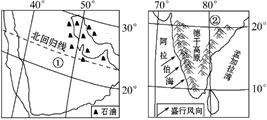 图片_x0020_100012