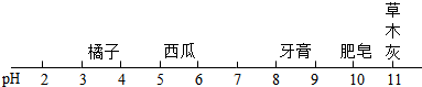图片_x0020_100001