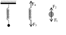 图片_x0020_30