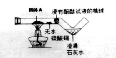 图片_x0020_100012