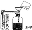 图片_x0020_493218598