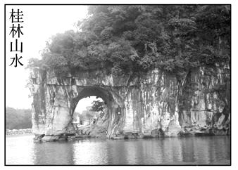 图片_x0020_20