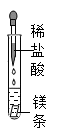 图片_x0020_100002