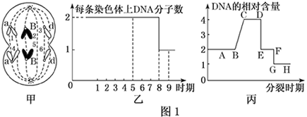 图片_x0020_1287150151