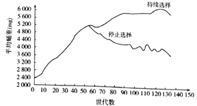 图片_x0020_173029823