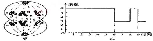 图片_x0020_1757368256