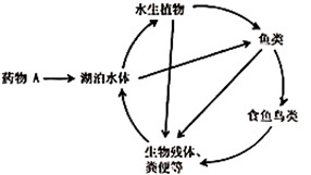 图片_x0020_100006