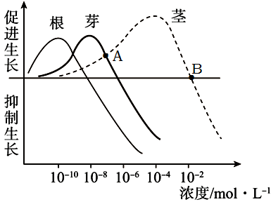 图片_x0020_1651106886
