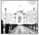 图片_x0020_100014