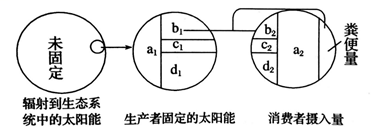 图片_x0020_836369293