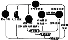 图片_x0020_712849673