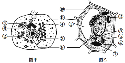 图片_x0020_669899734