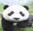 图片_x0020_7