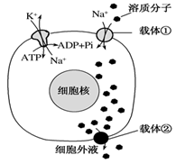 图片_x0020_100005